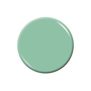 Premium Elite Design Dipping Powder | ED165 Pastel Green